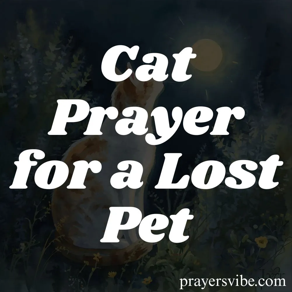 Cat Prayer for a Lost Pet