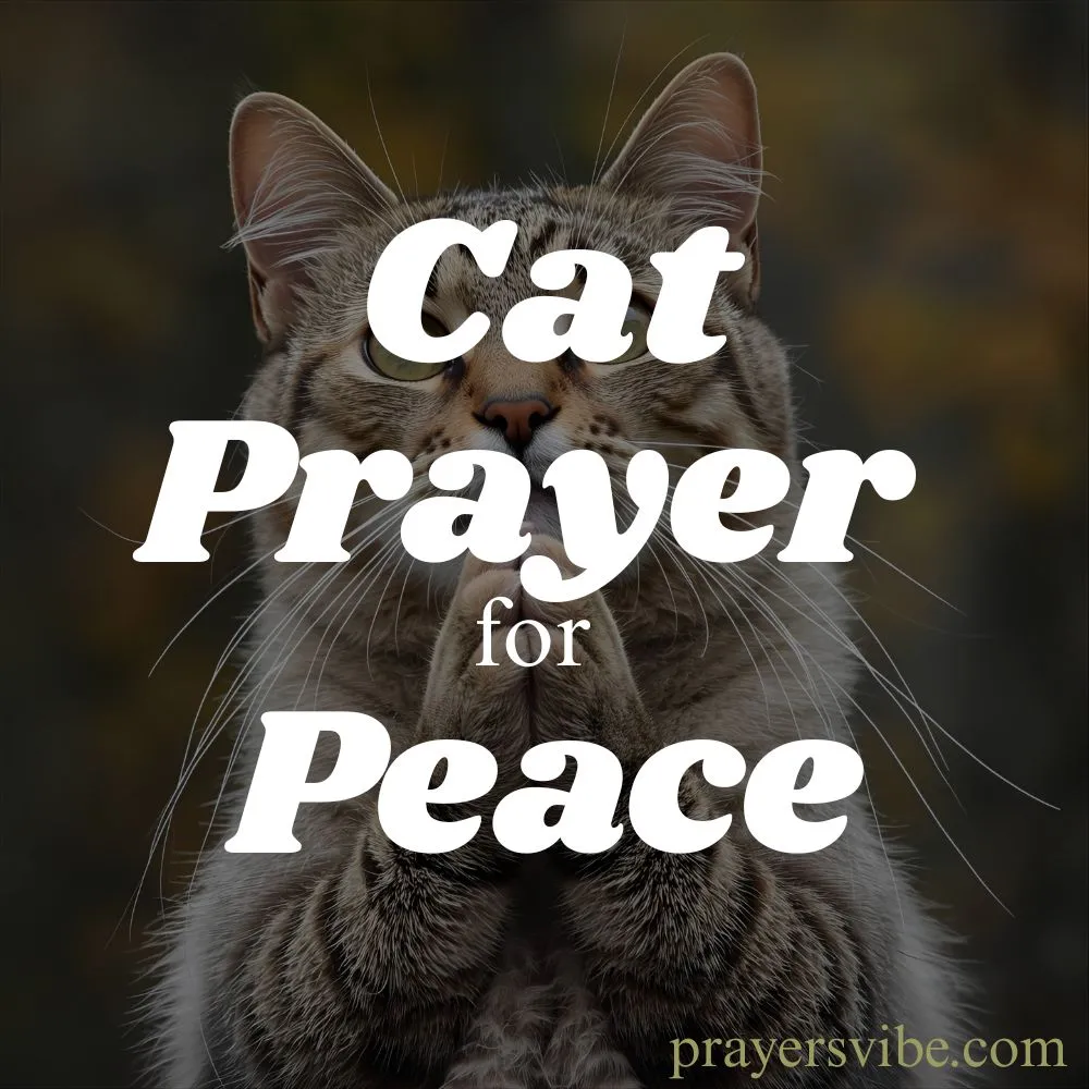 Cat Prayer for Peace