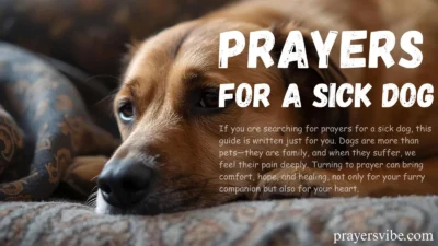 Prayers for a Sick Dog